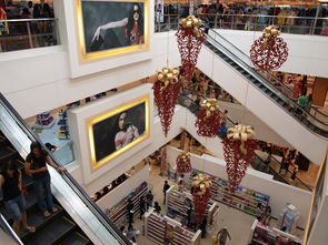 kaiyun sports-迈向未来：Chinese Taipei团队在国际赛场的崭新发展，chinese of taipei